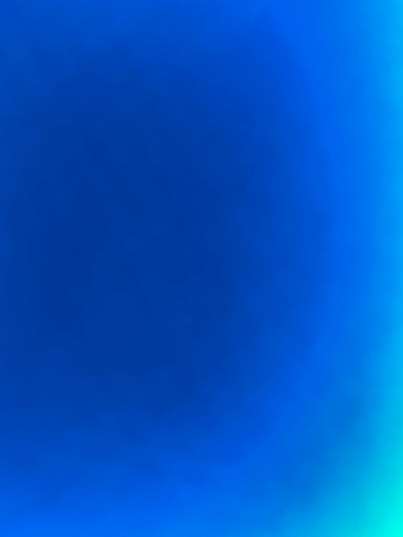 walking near me in Oxon Run Park in winter