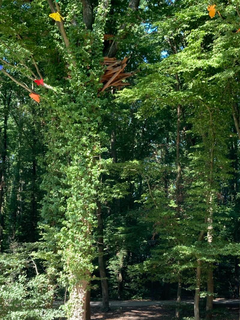 walking near me in Parc des Sœurs in winter