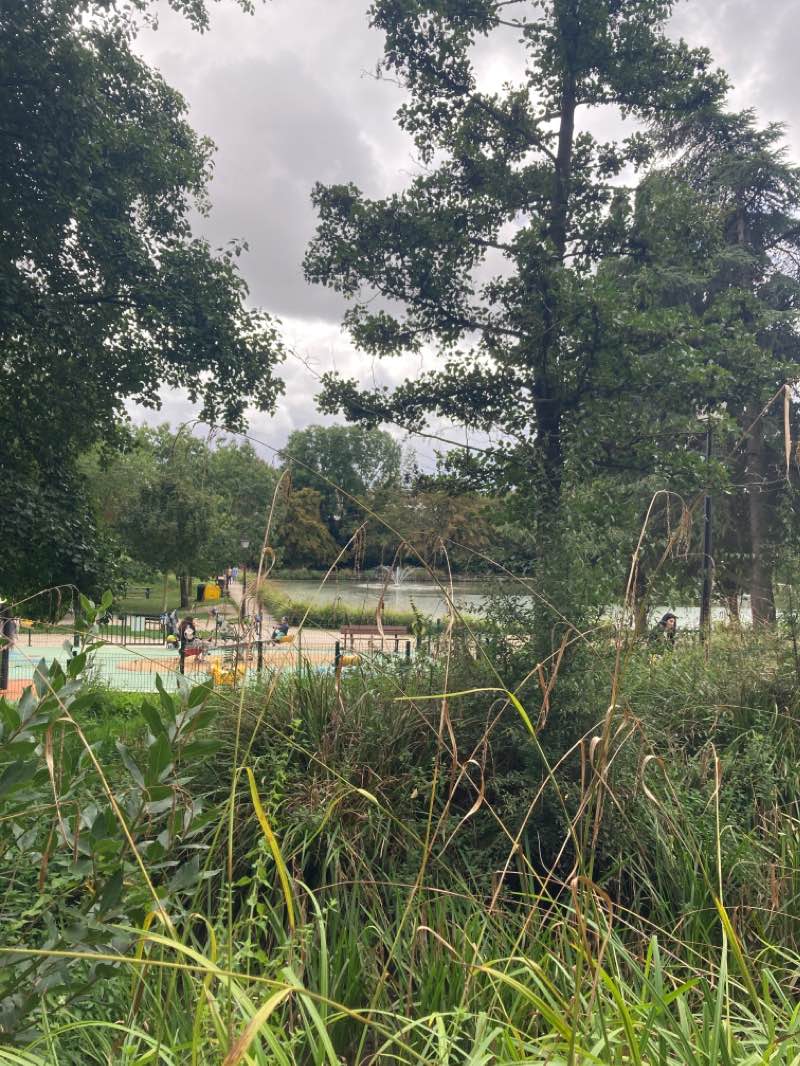 walking near me in Parc Départemental du Coteau d'Arcueil in winter