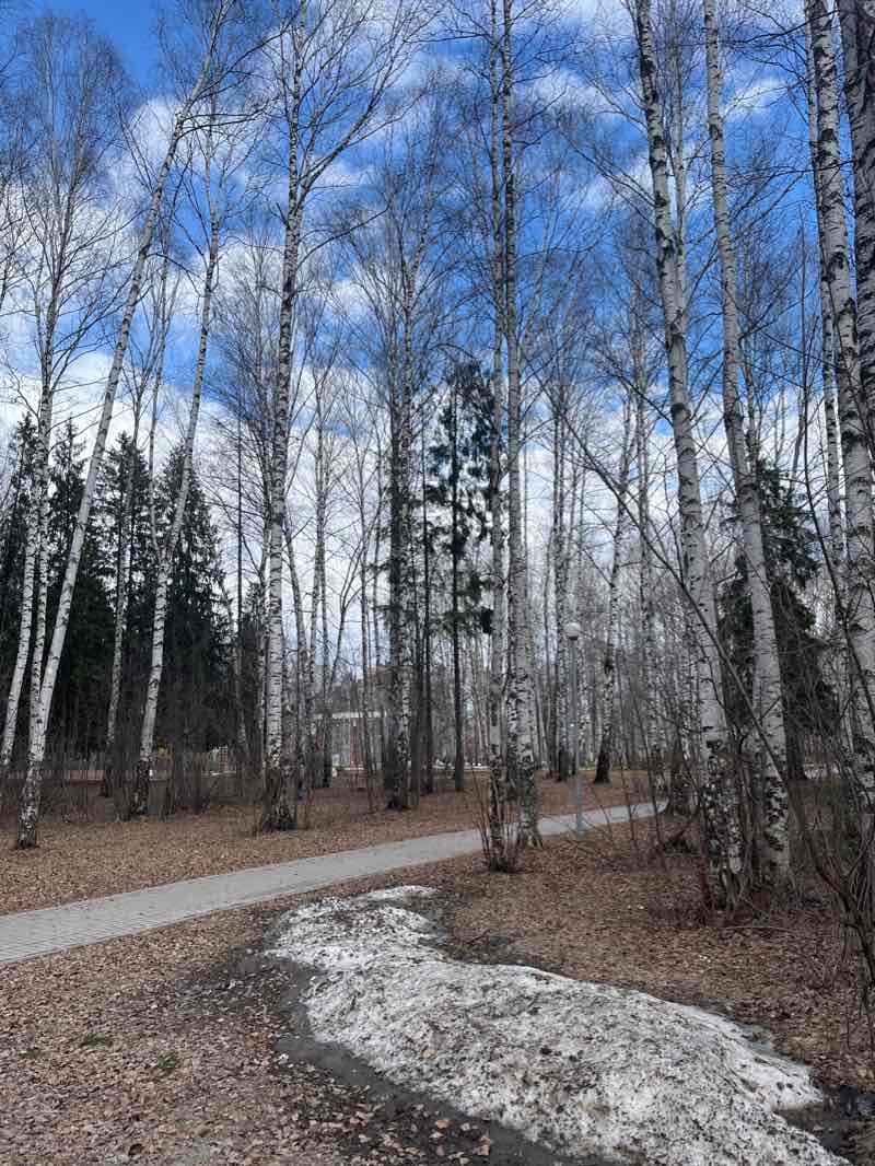 walking near me in Парк имени Чехова in winter