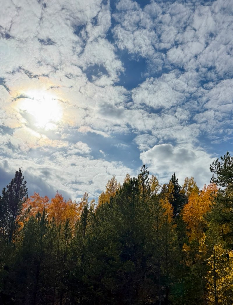 walking near me in Jola Park in autumn