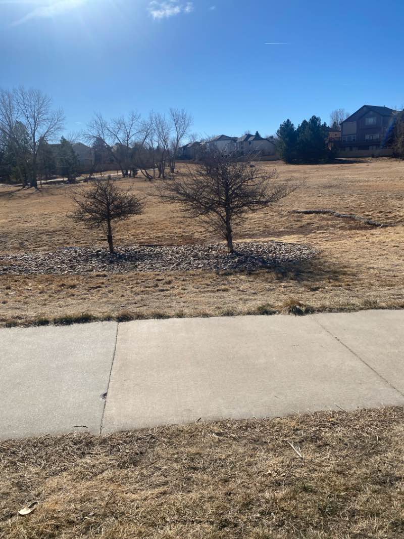 walking near me in Jola Park in winter