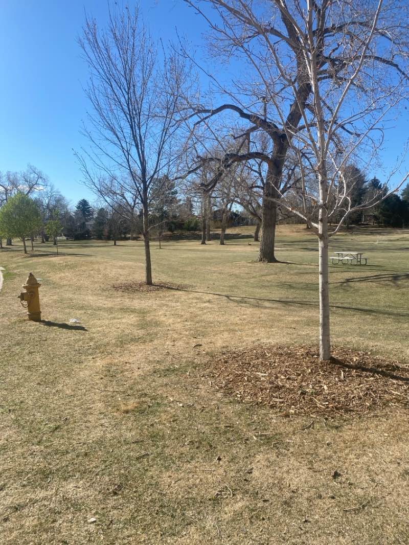 walking near me in Little's Creek Park in spring