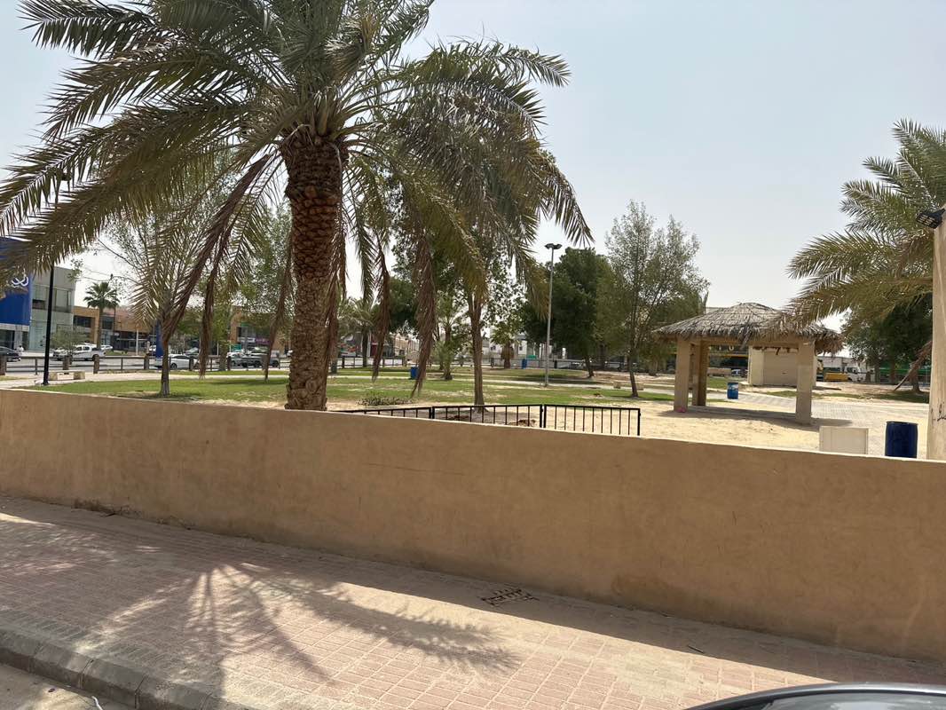 walking near me in حديقة محيرس in spring