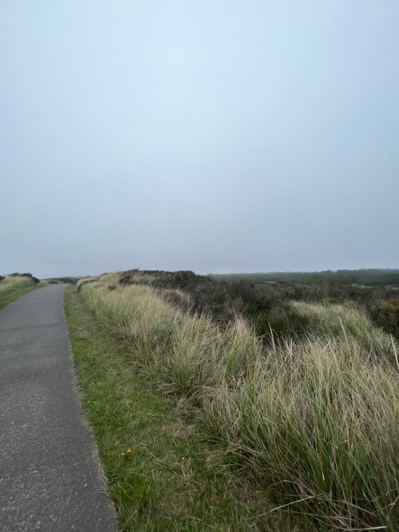 walking near me in Westport Light State Park in winter