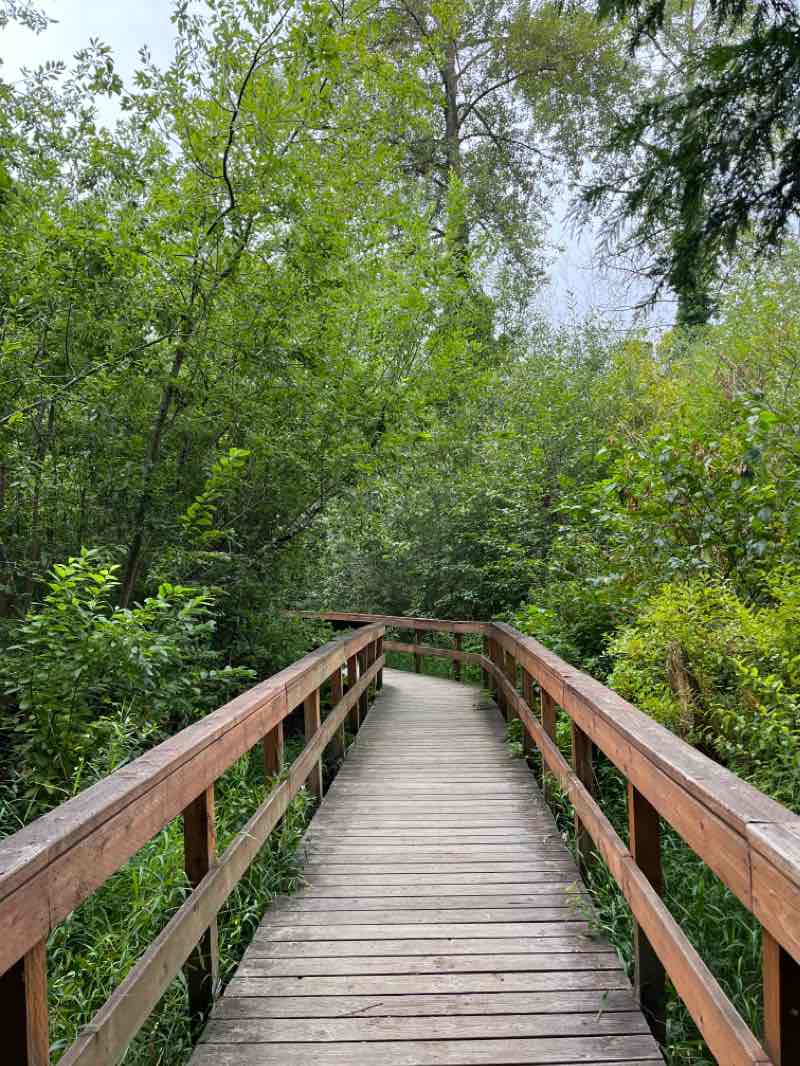 walking near me in Veterans Park in winter