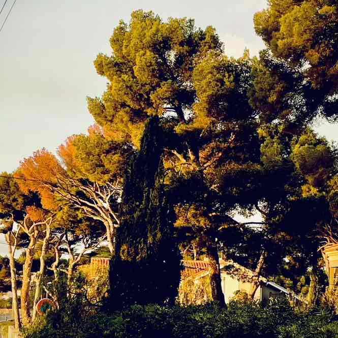 💦 KALYPSO 💦 post 1