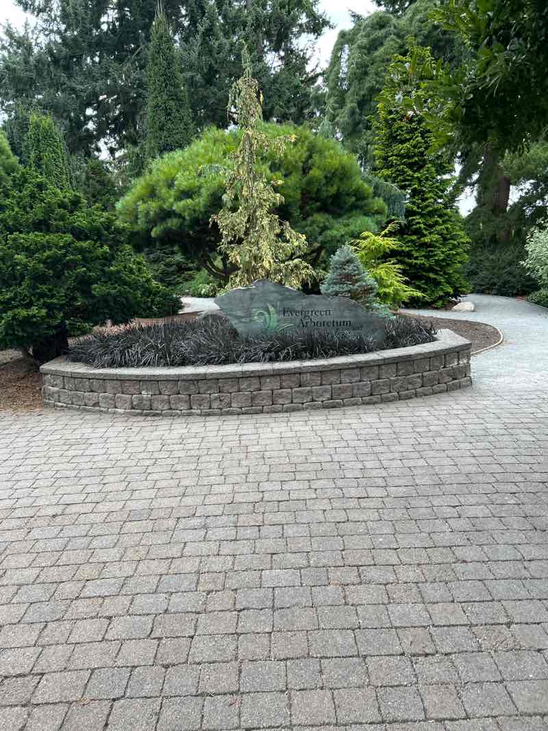 walking near me in American Legion Memorial Park in autumn