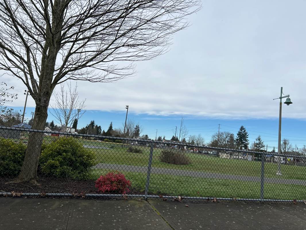 walking near me in Garfield Park in winter