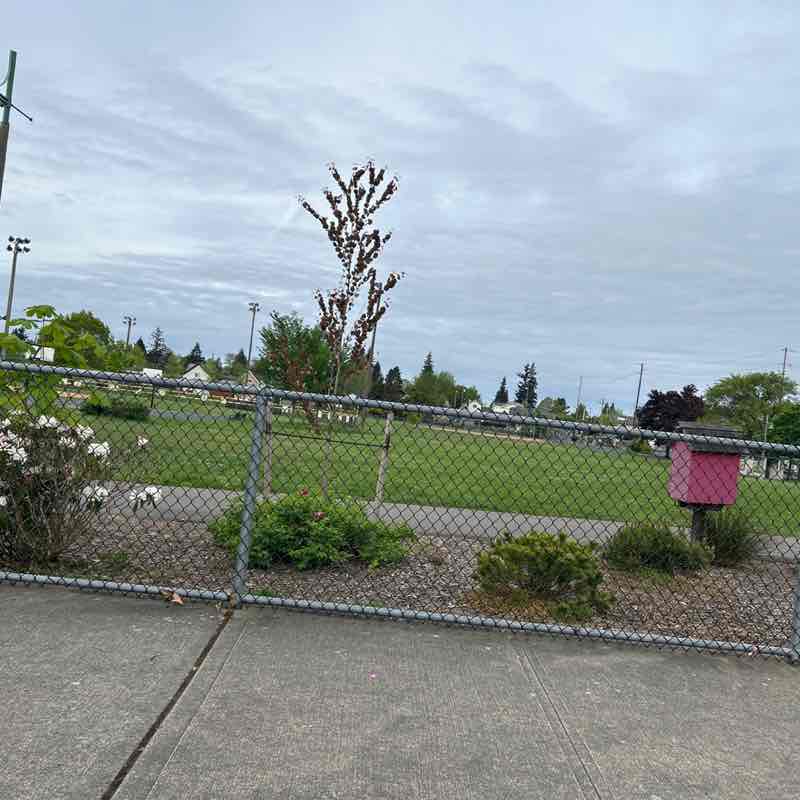 lostrander49 post 1