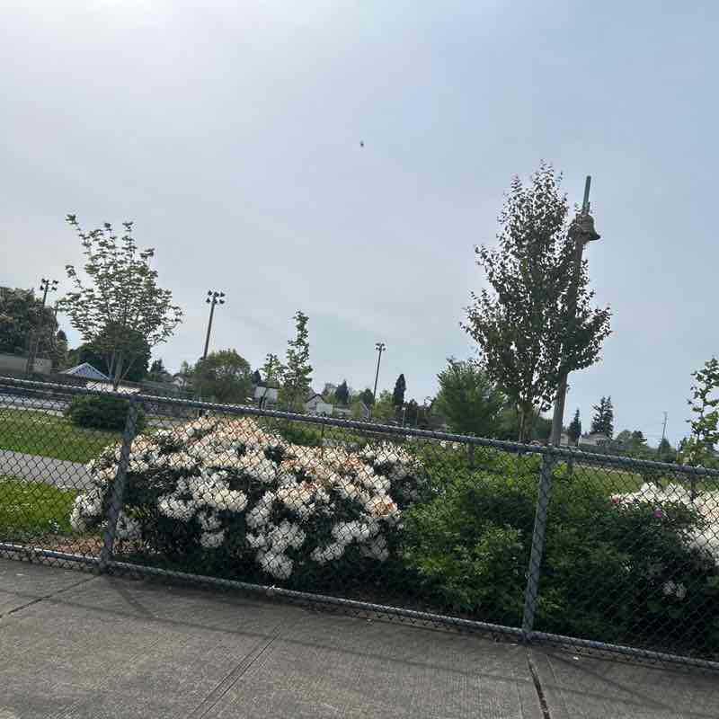 lostrander49 post 1