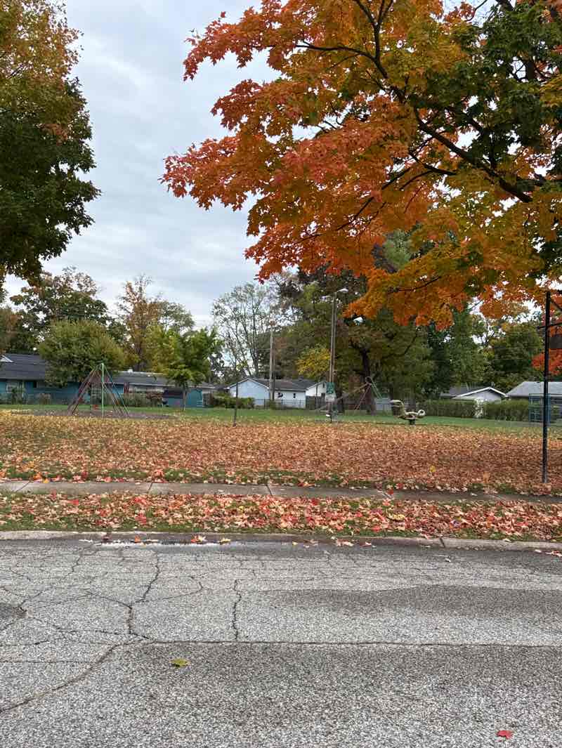 walking near me in Helman Mini Park in autumn