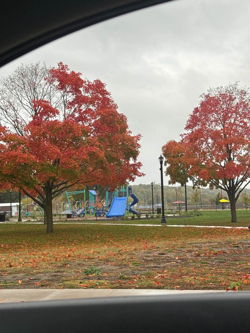walking near me in Rose Park in autumn