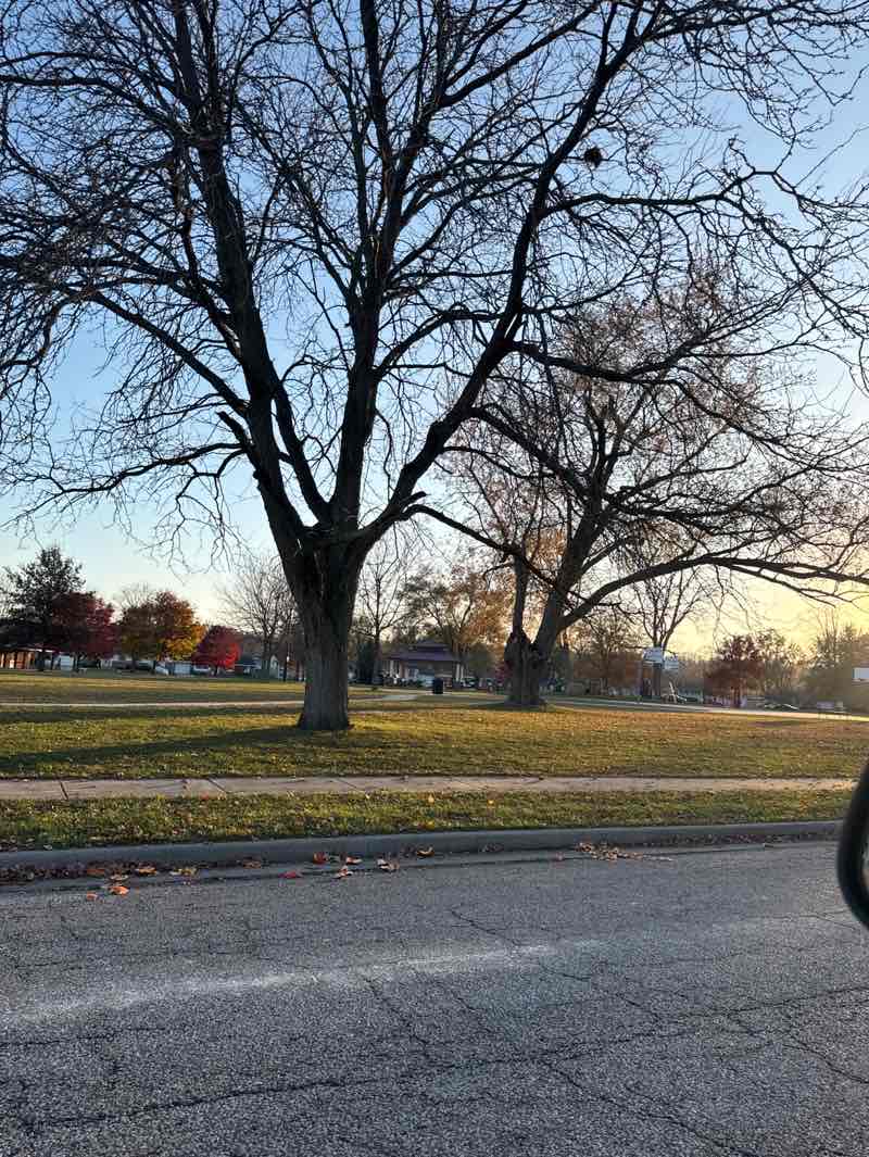 walking near me in Hills Hans Park in autumn