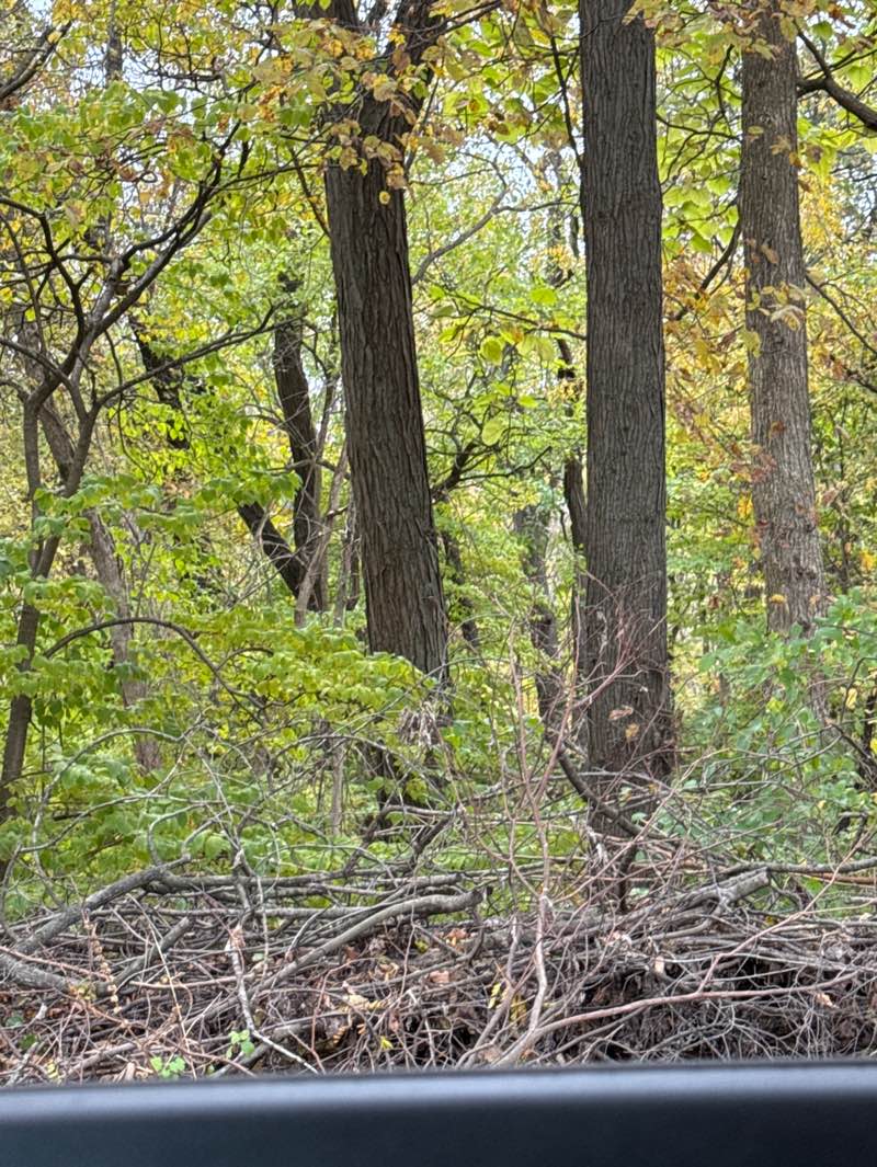 walking near me in Ferrettie/Baugo Creek County Park in autumn