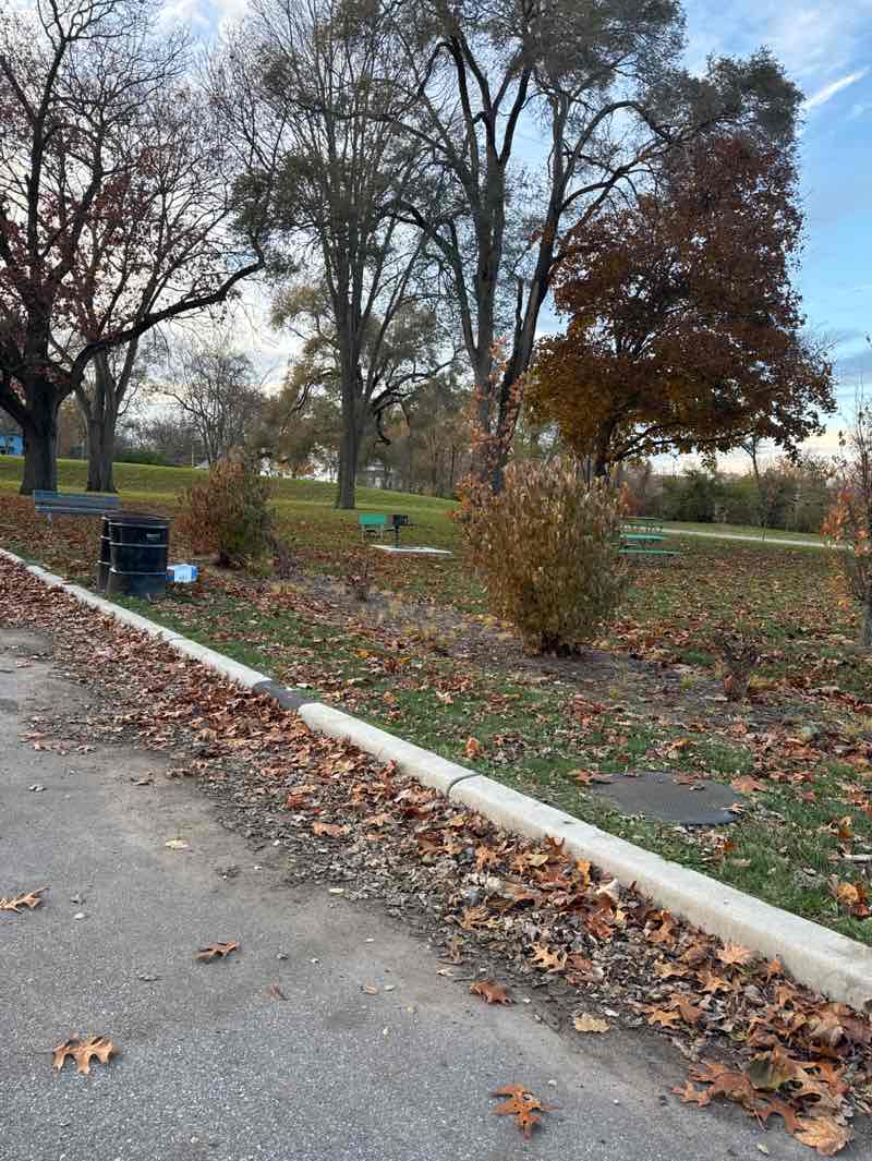 walking near me in Randolph Park in autumn