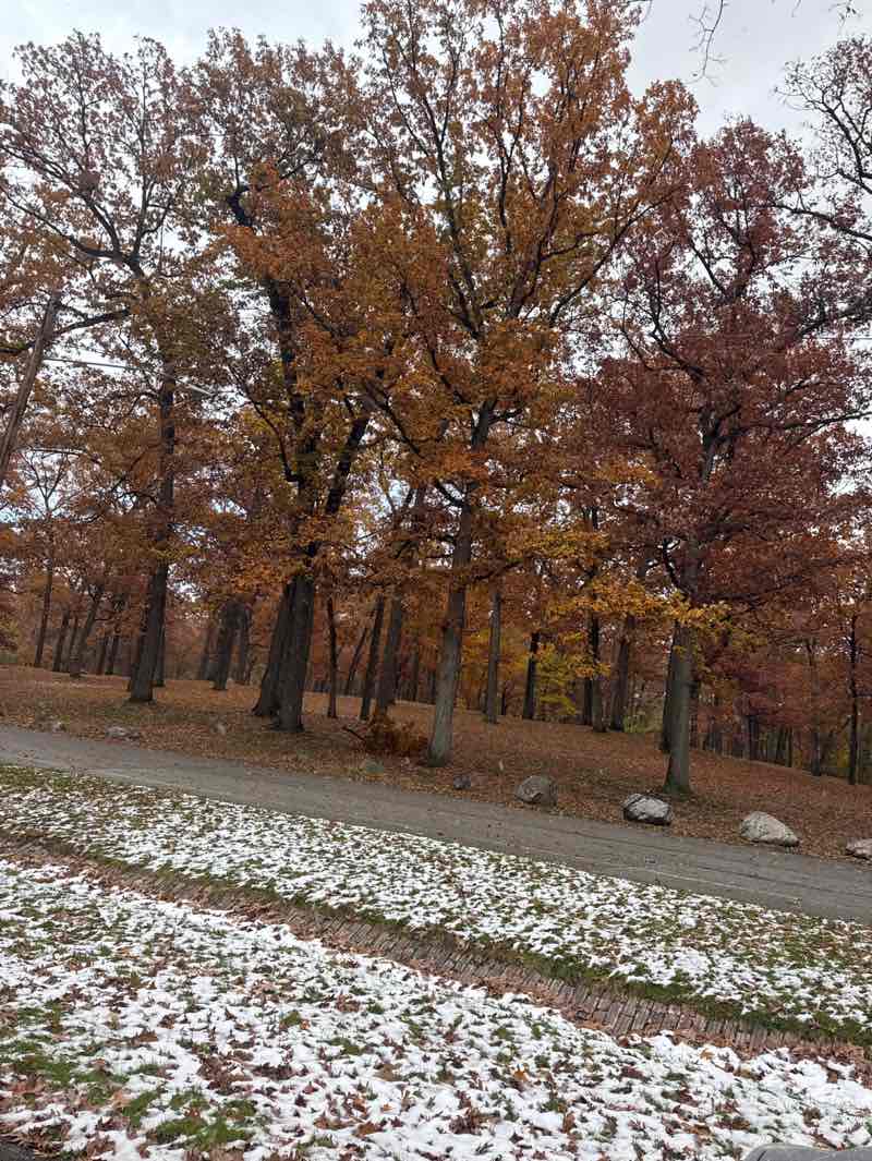 walking near me in Rum Village Park in autumn