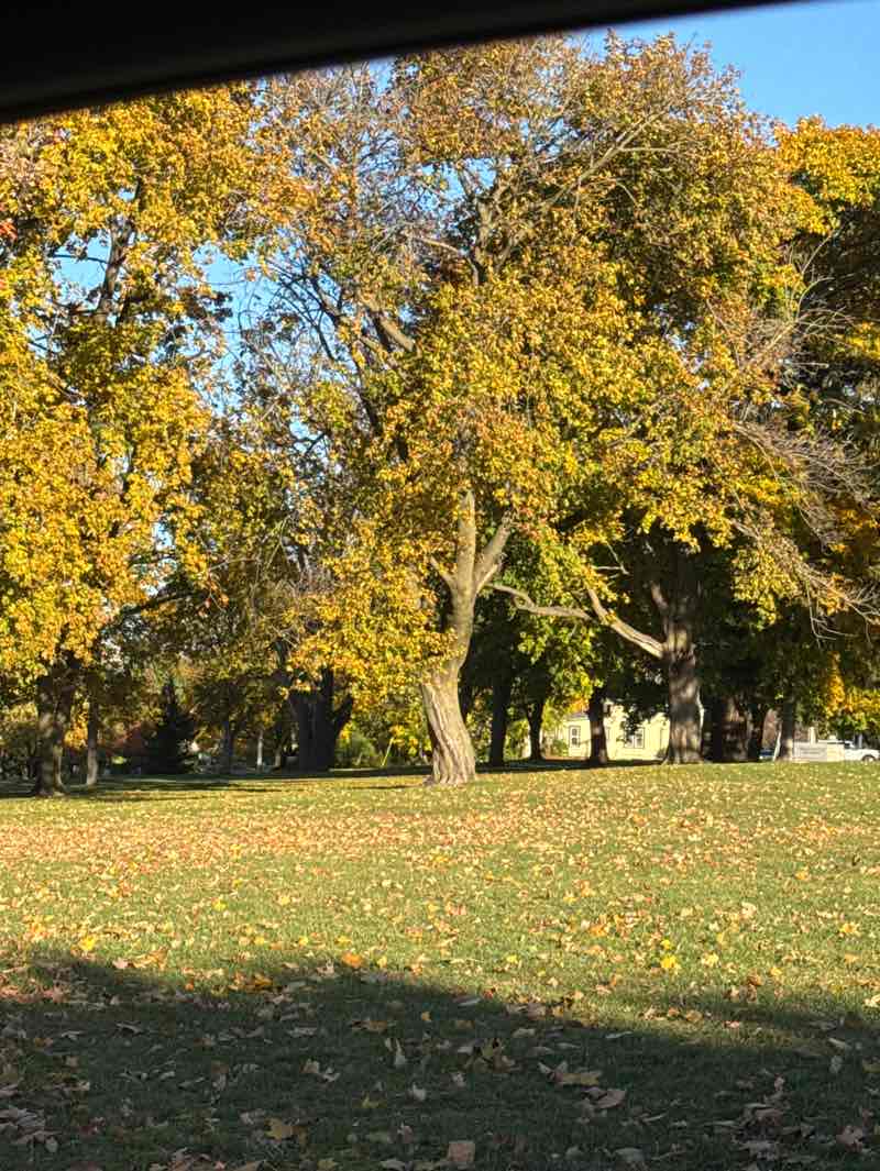 walking near me in Lincoln Park in autumn