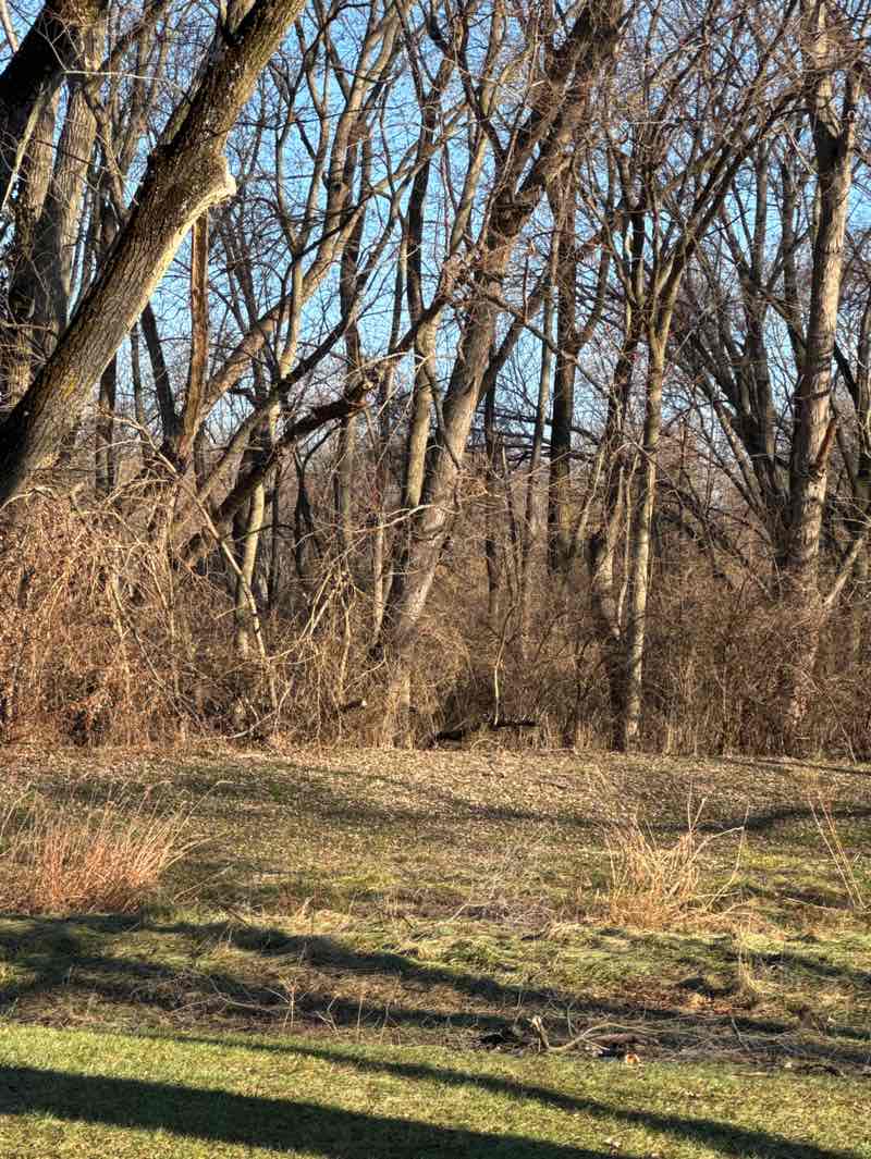 walking near me in Ponader Park in winter