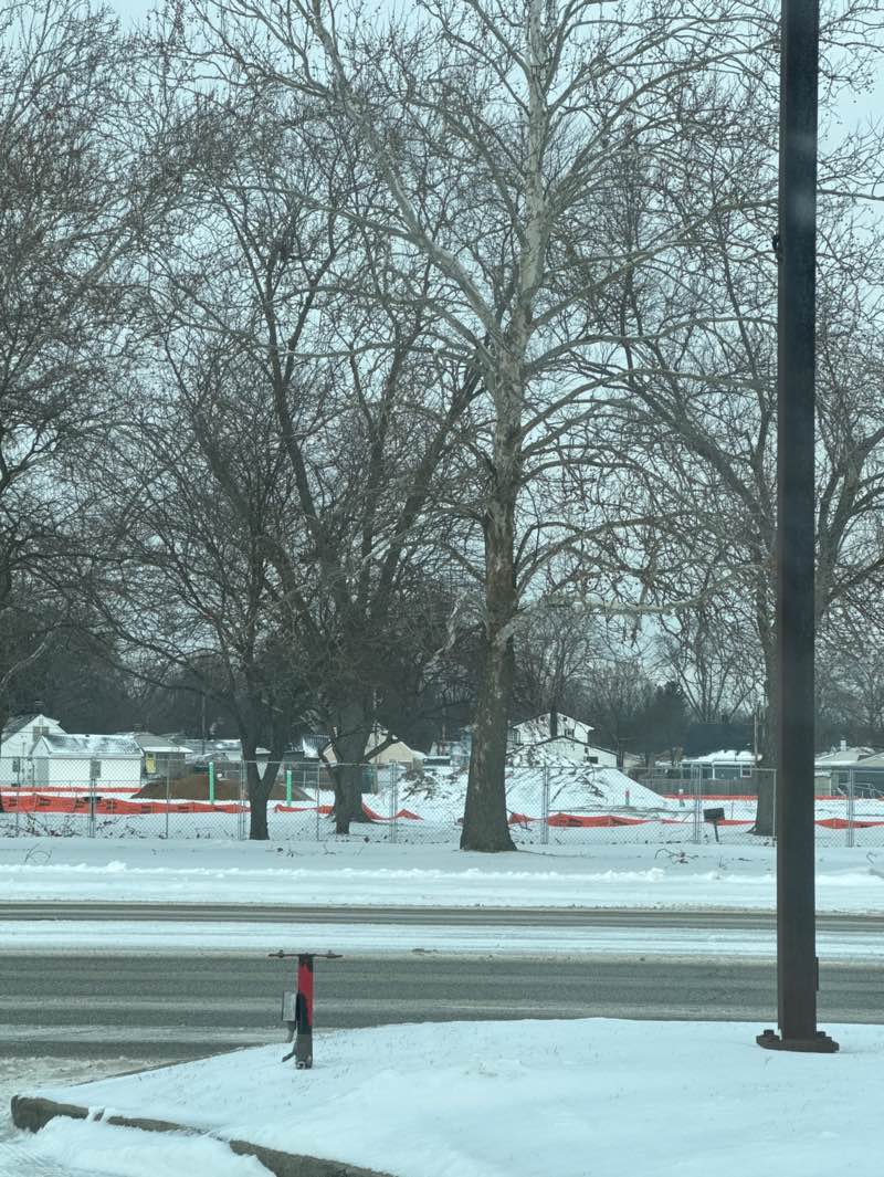 walking near me in Normain Heights Park in winter