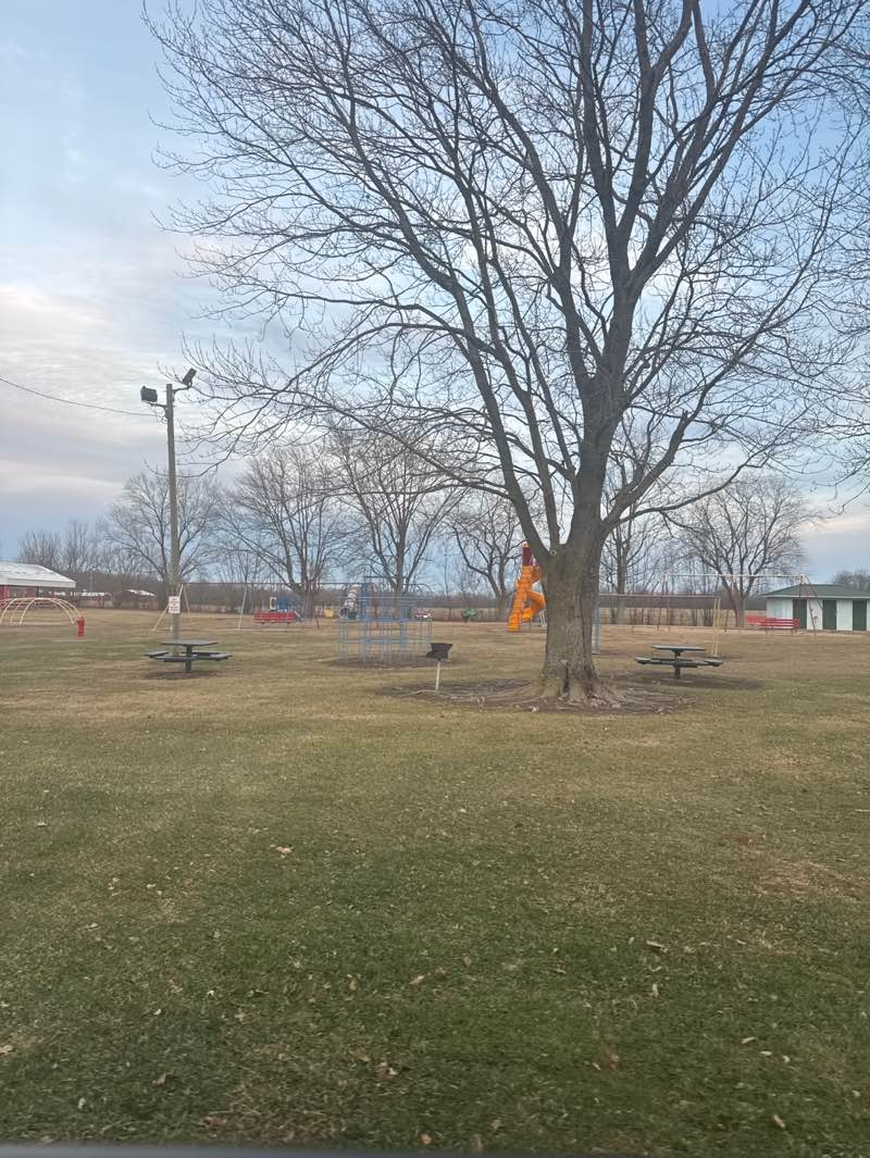 walking near me in Bunker Hill Park in winter