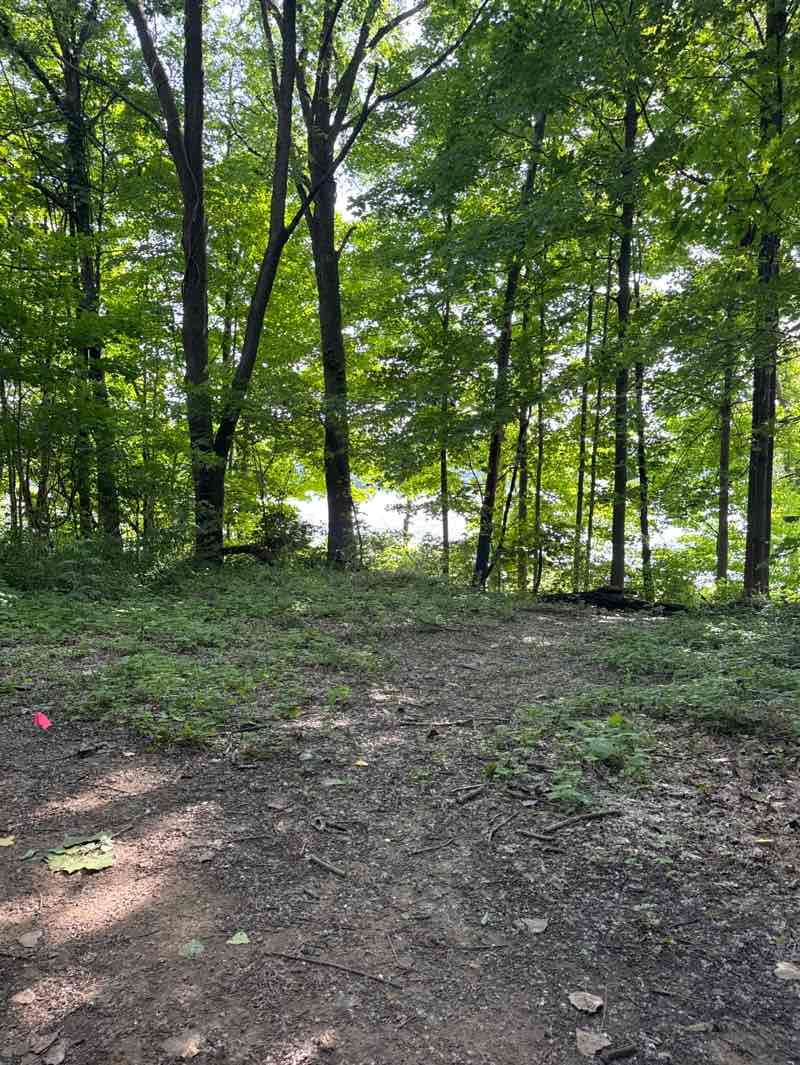 walking near me in Potato Creek State Park in summer