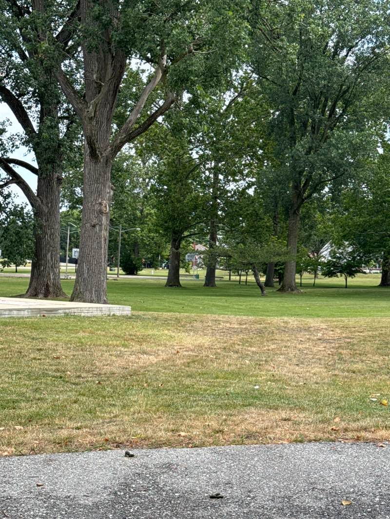 walking near me in Crawford Park in summer