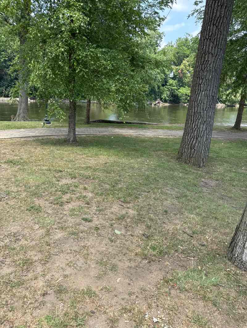 walking near me in Kamm Island Park in summer