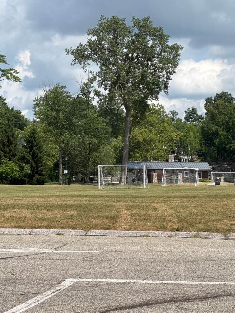 walking near me in Merrifield Park in autumn