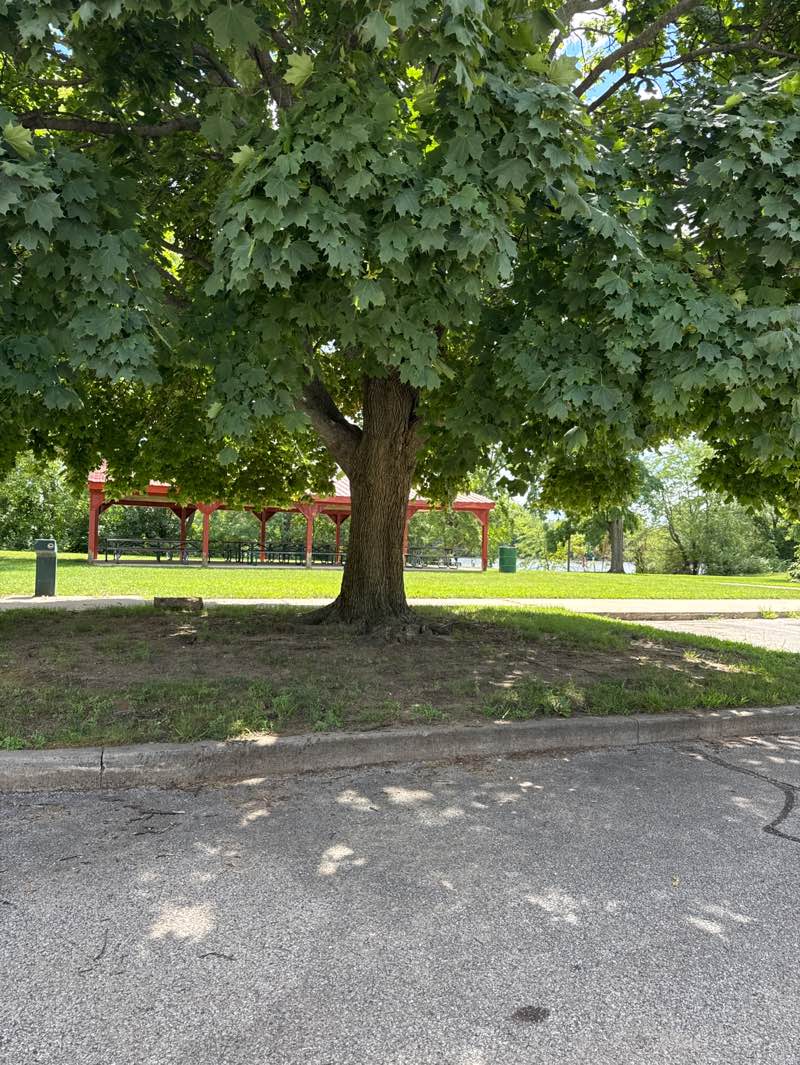 walking near me in Margaret H. Prickett Marina Park in autumn