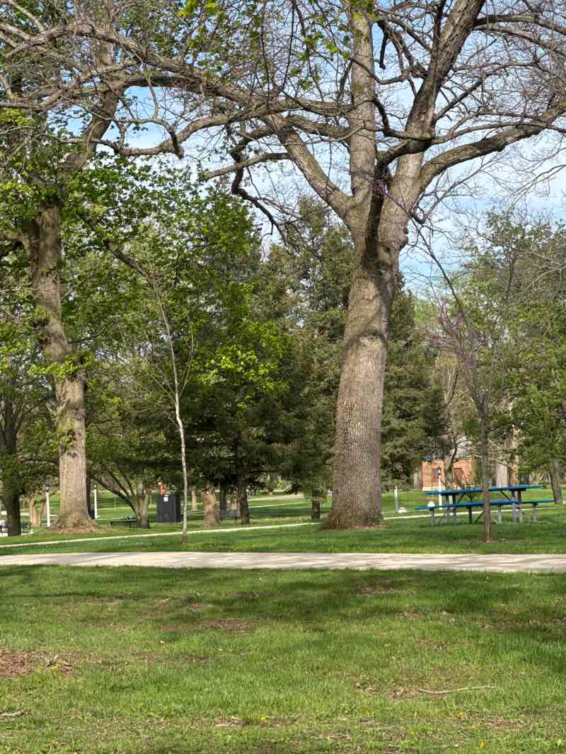 walking near me in Leeper Park in spring