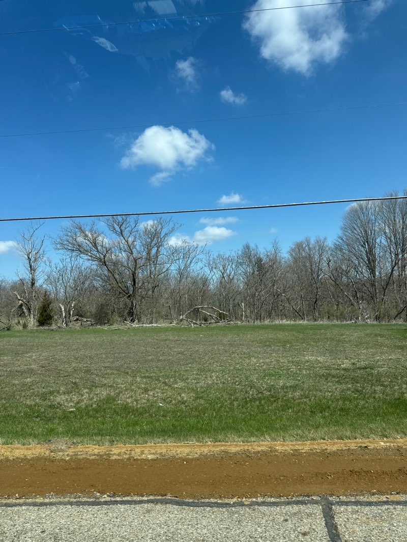 walking near me in McCourtie Park in spring