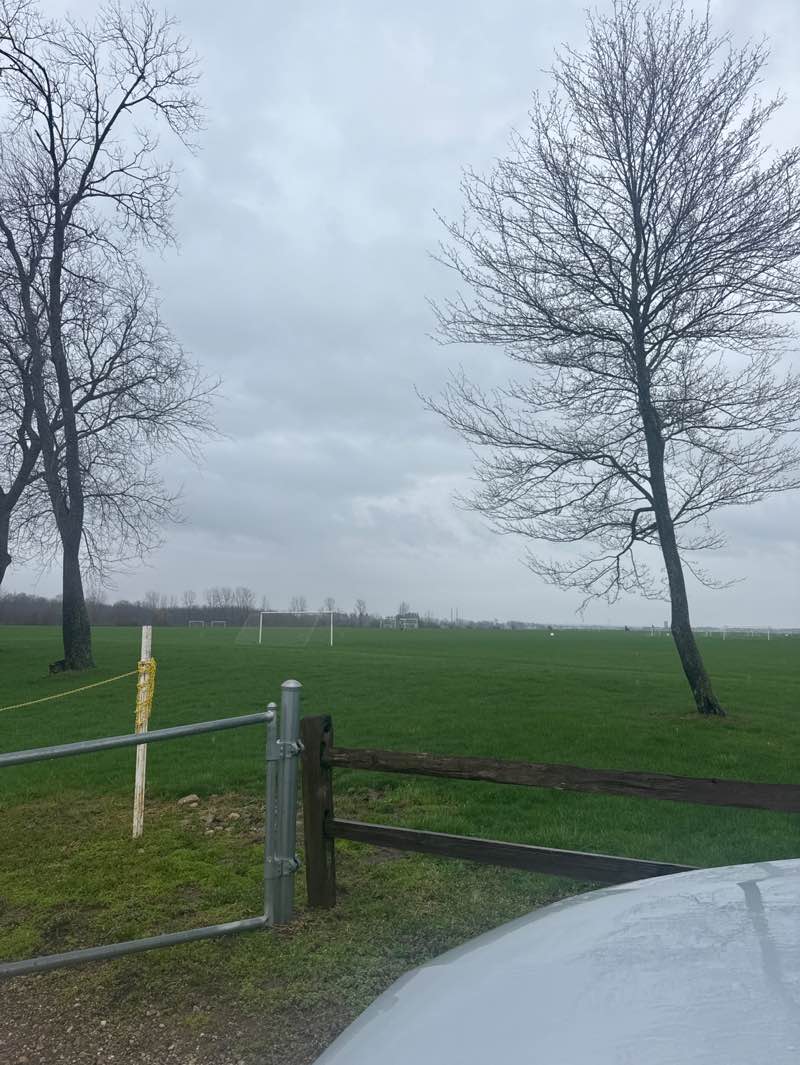 walking near me in Jr. Irish Fields in spring