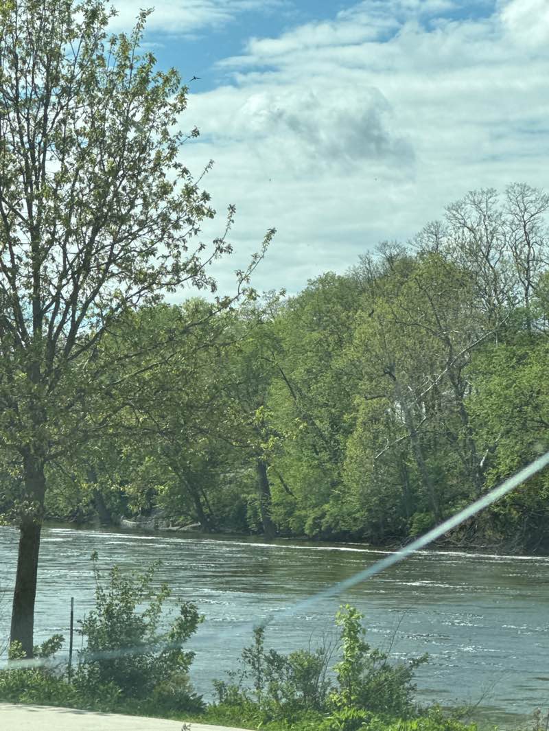 walking near me in Beutter Waterfront Park in spring