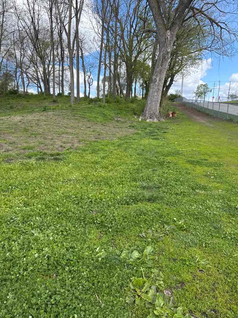 walking near me in Margaret H. Prickett Marina Park in spring