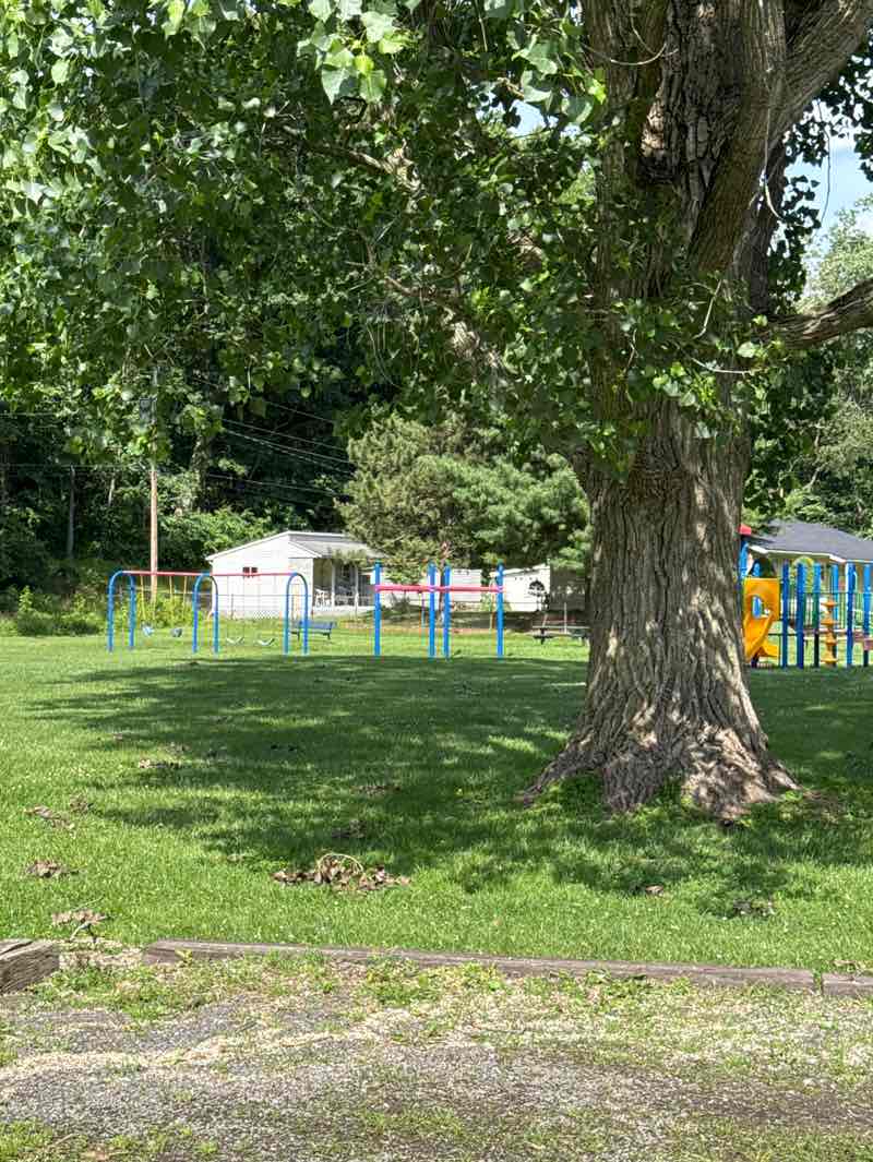 walking near me in Samson Park in summer