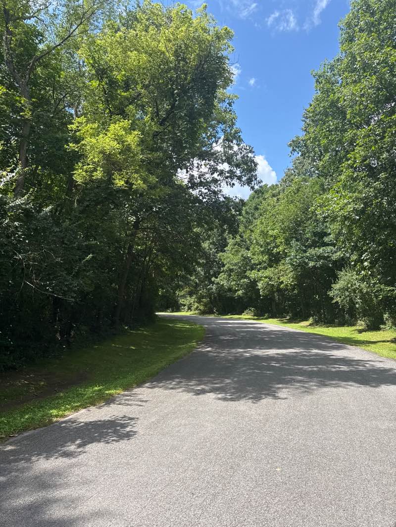 walking near me in Madeline Bertrand County Park in summer