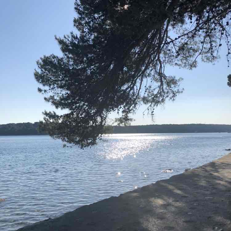 Cris 🚶🏻‍♀️🇮🇪 🌏 post 2