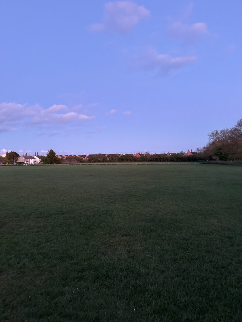 walking near me in Primrose Meadow in spring