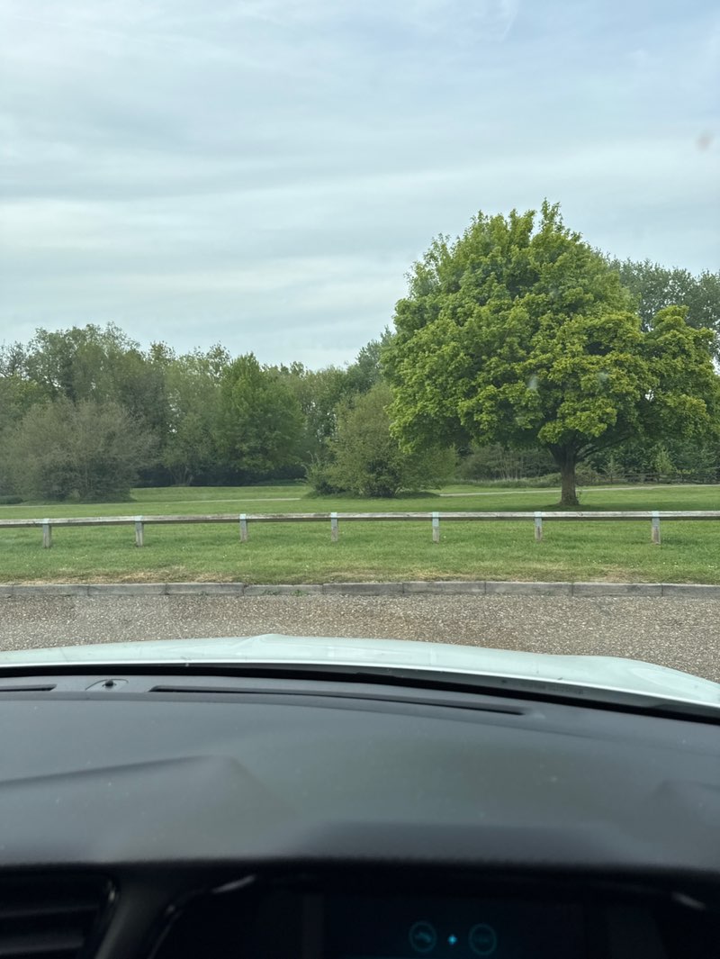 walking near me in Witham Town Park in spring