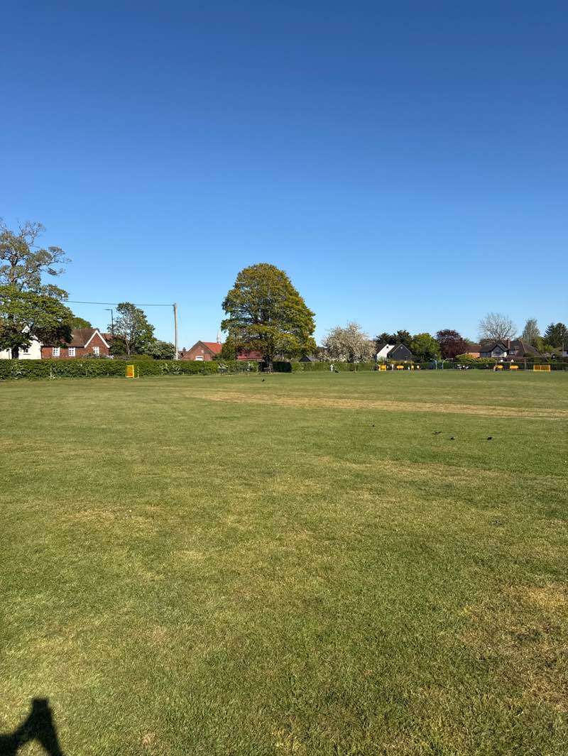 walking near me in Eves Corner Playing Fields in spring