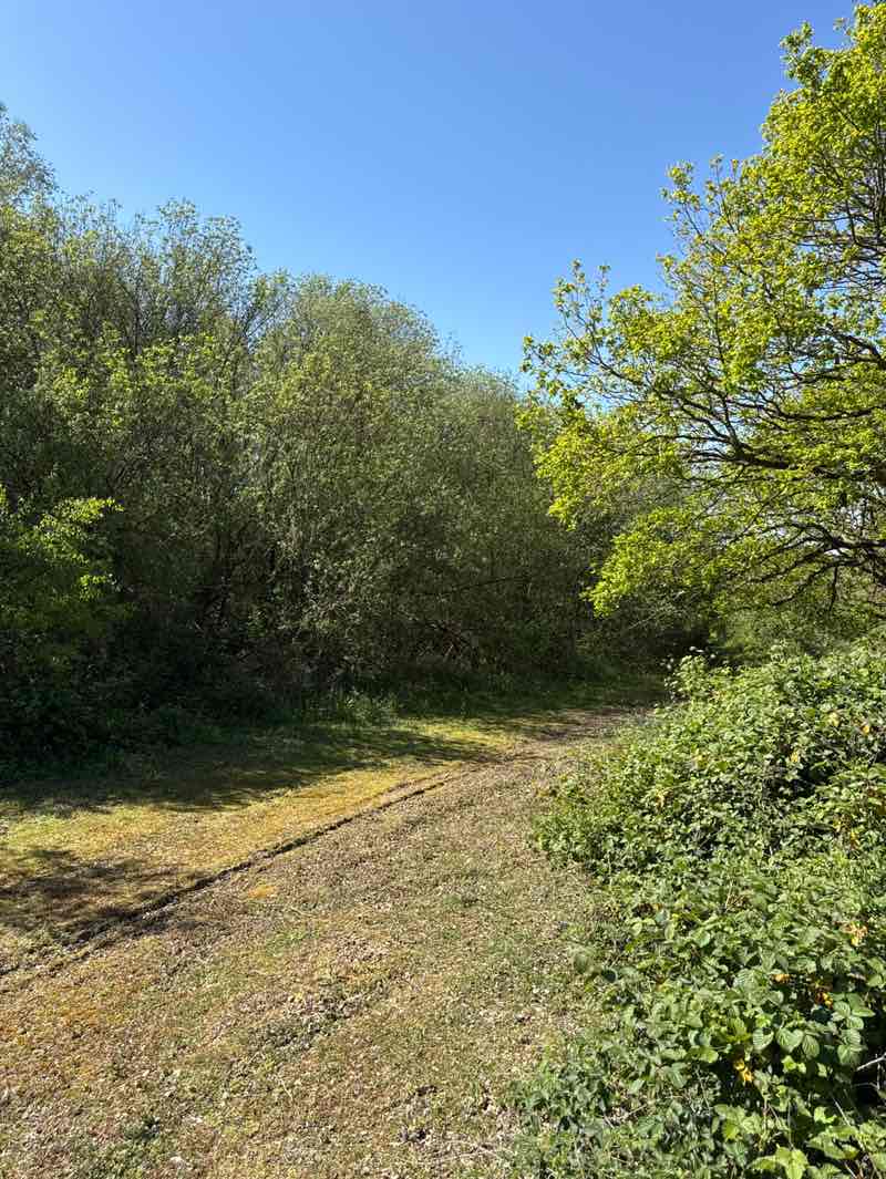 walking near me in Hatfield Peverel Country Park (unopened) in spring