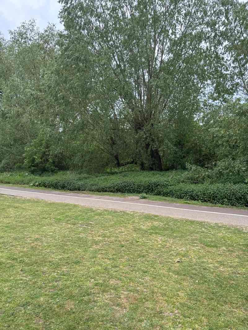 walking near me in River Walk in spring