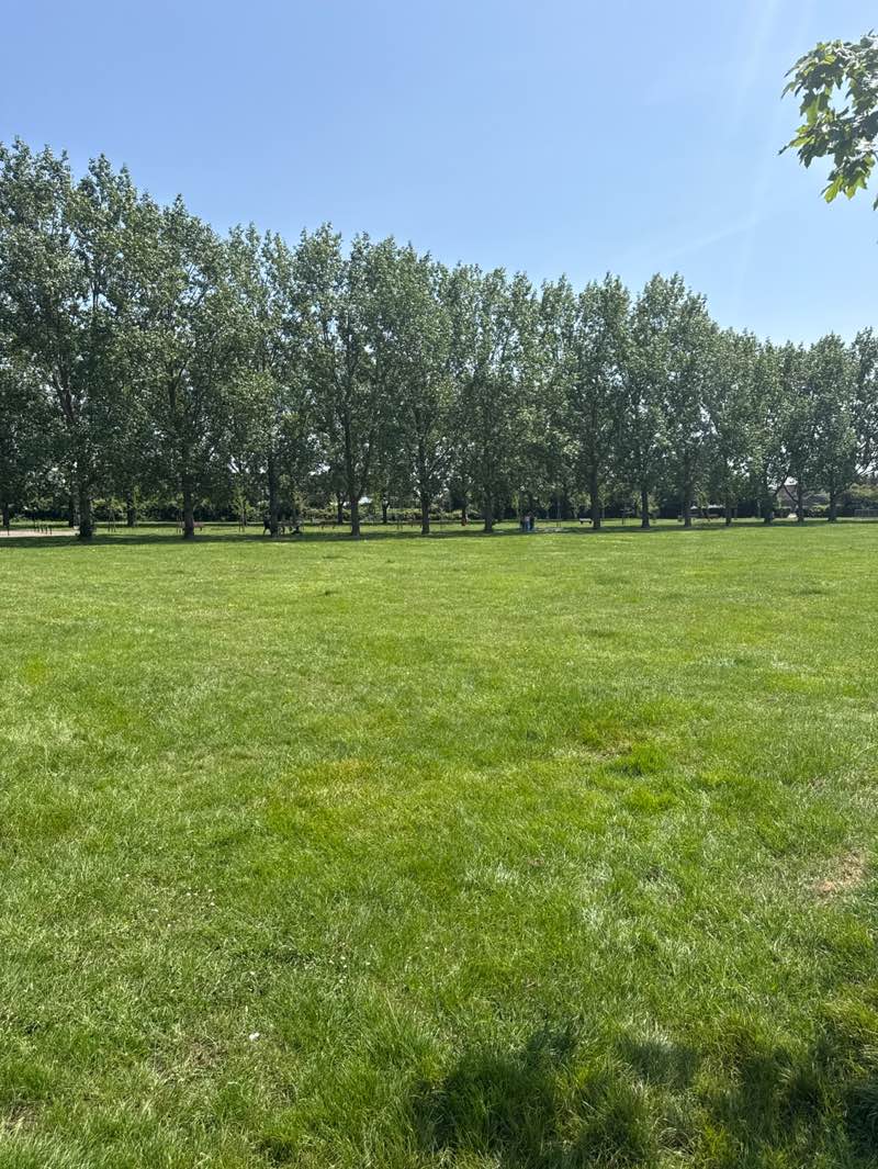 walking near me in Howards Park in summer