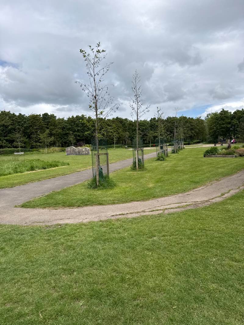 walking near me in Compass Gardens in spring