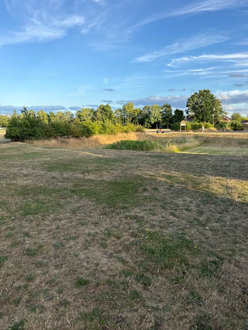 walking near me in Drapers Farm in summer