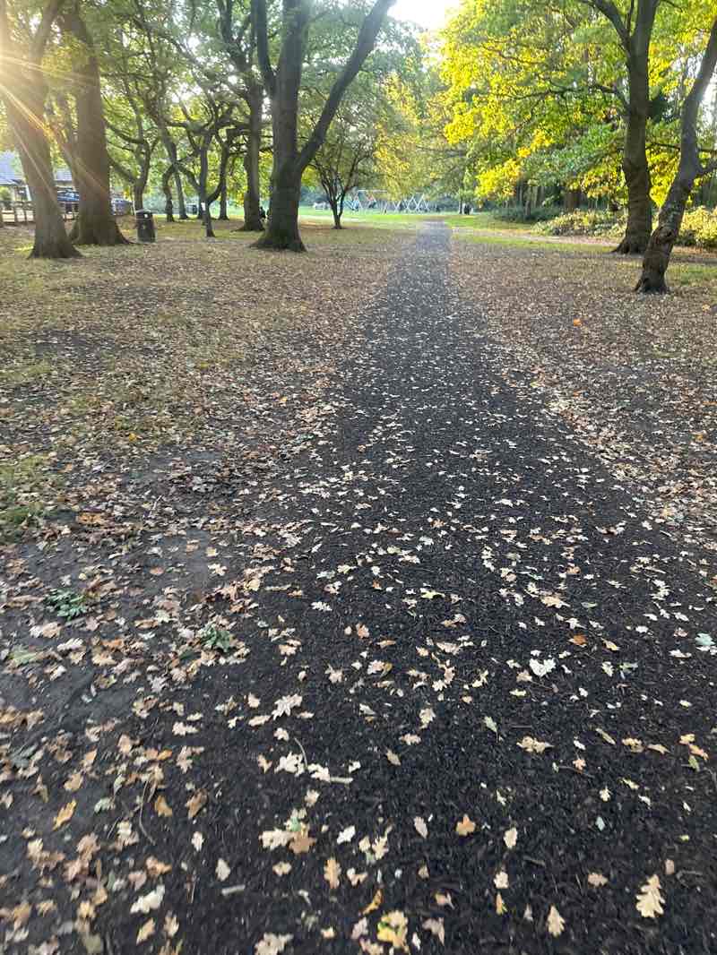 walking near me in Ashley Park Open Space in autumn