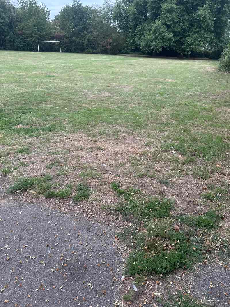 walking near me in Woodham Lodge Open Space in autumn