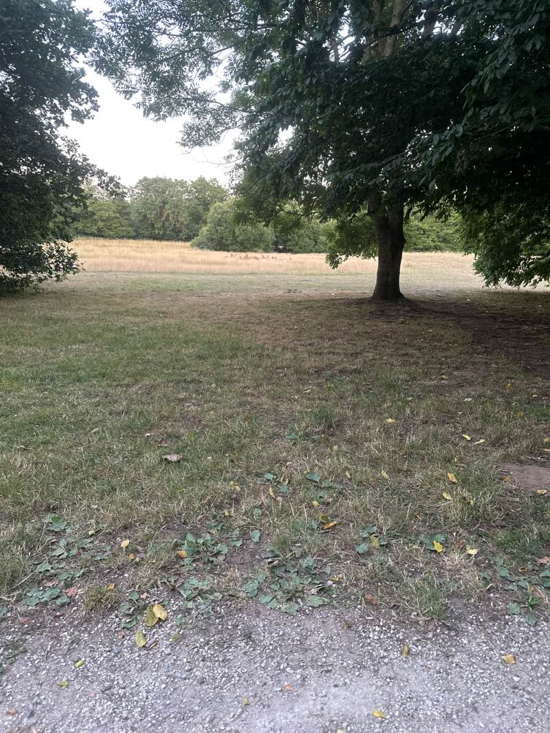 walking near me in Sayes Court Open Space in summer