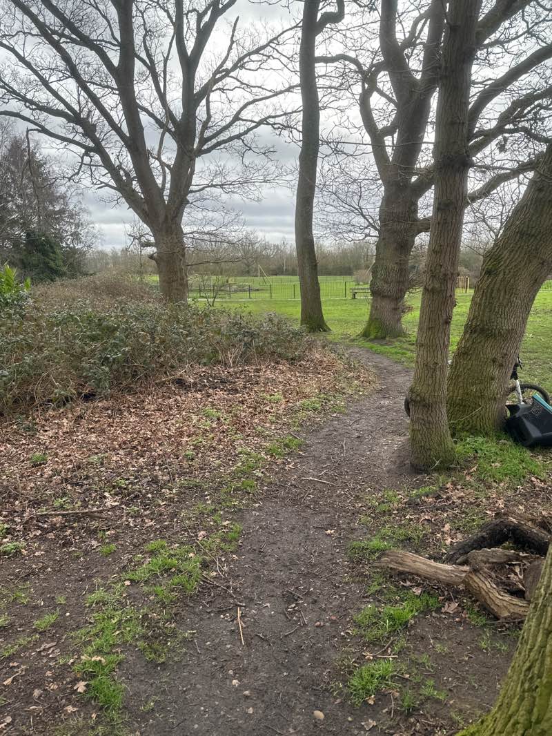 walking near me in Franklands Park in winter